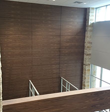 Lexus of Lakeway paneled wall 