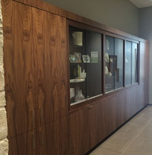 Lexus Lakeway paneling