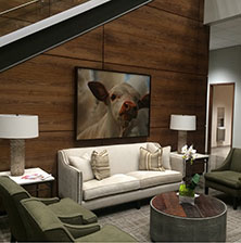 Lexus Lakeway reception