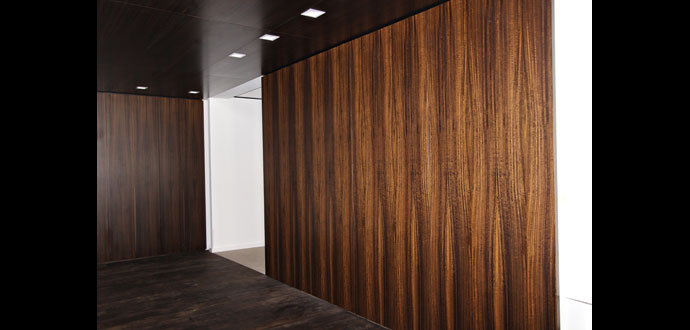 projects-PH paneling